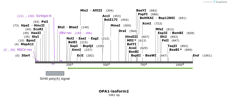 133042_map