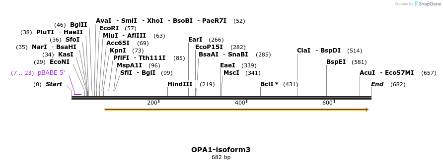 133047_map