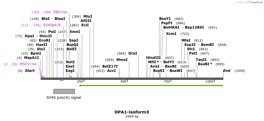 133048_map