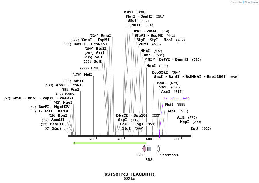 133058_map