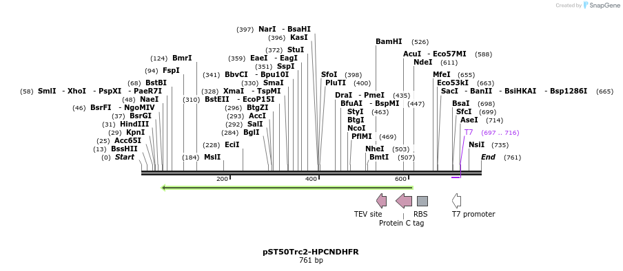 133060_map