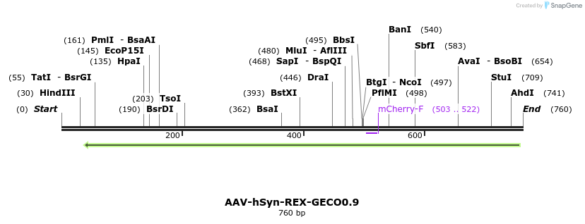 133062_map