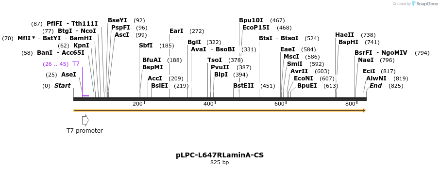 133064_map