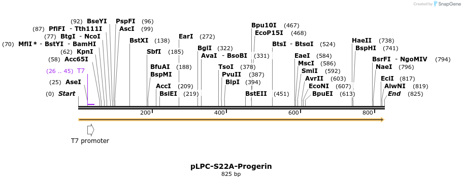 133066_map