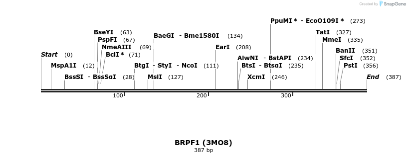13307_map