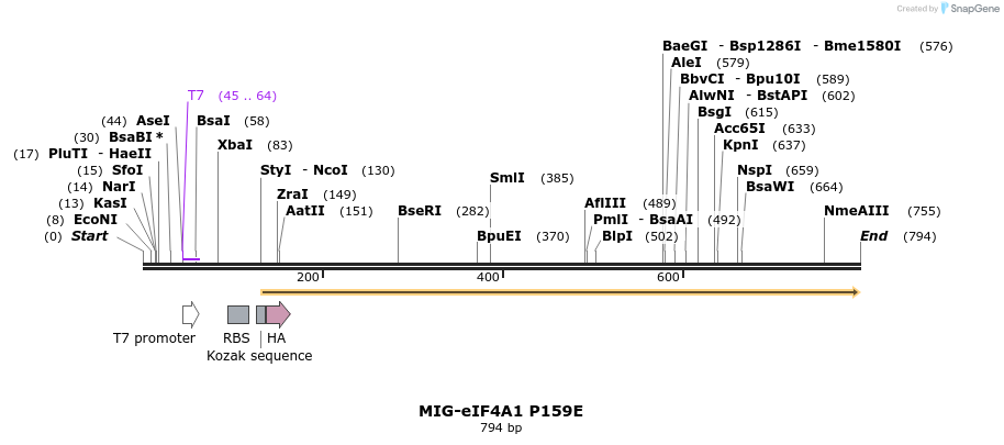133080_map