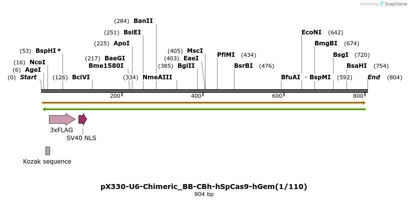 133083_map