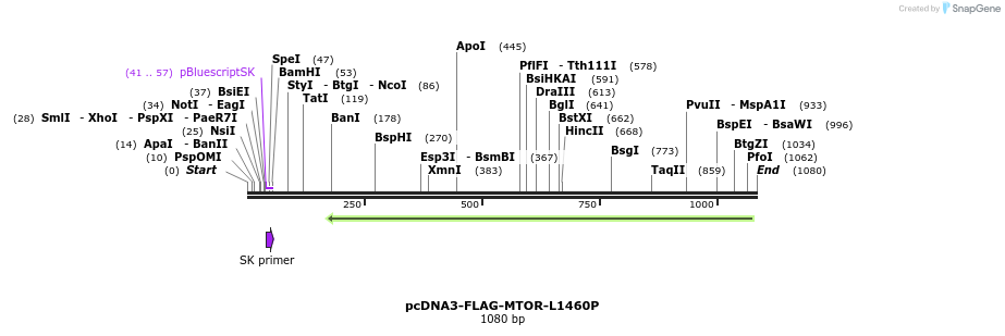 133087_map