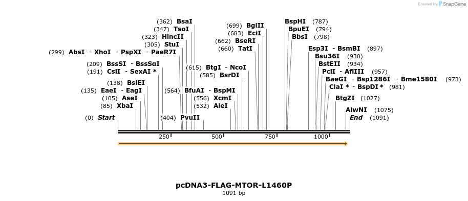 133088_map