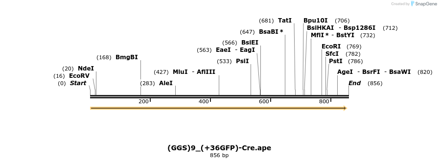 133099_map