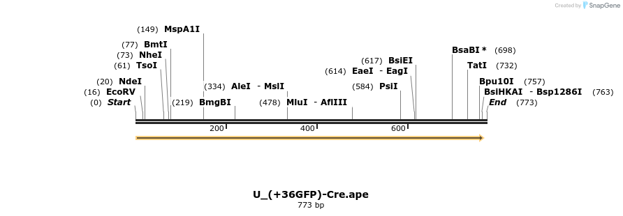 133101_map