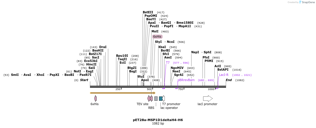 133105_map