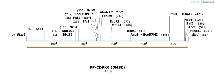 13311_map
