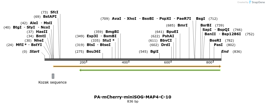 133110_map