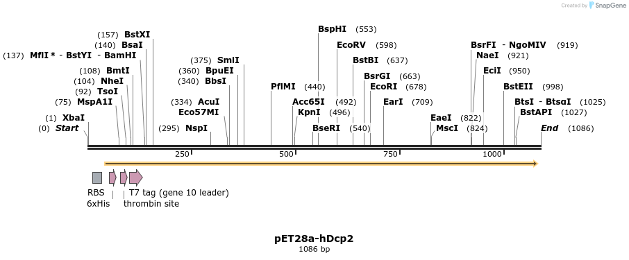 133111_map
