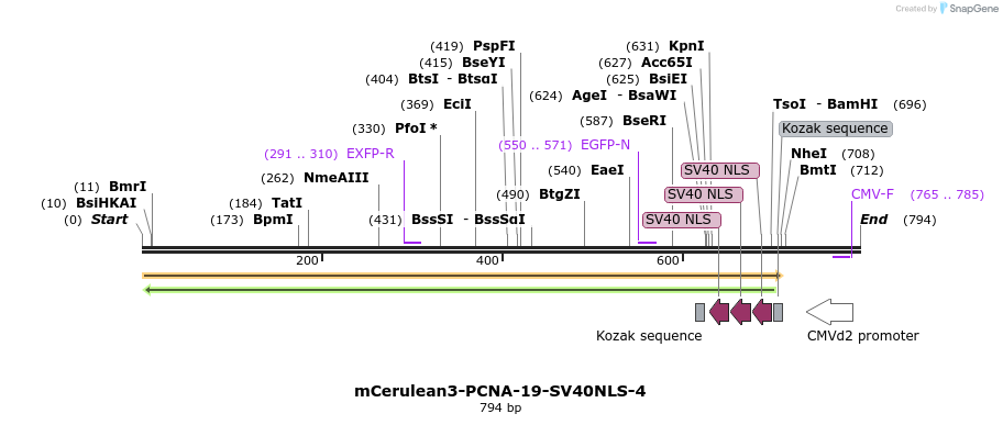 133113_map
