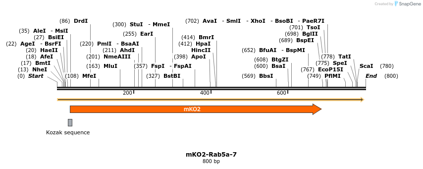 133118_map