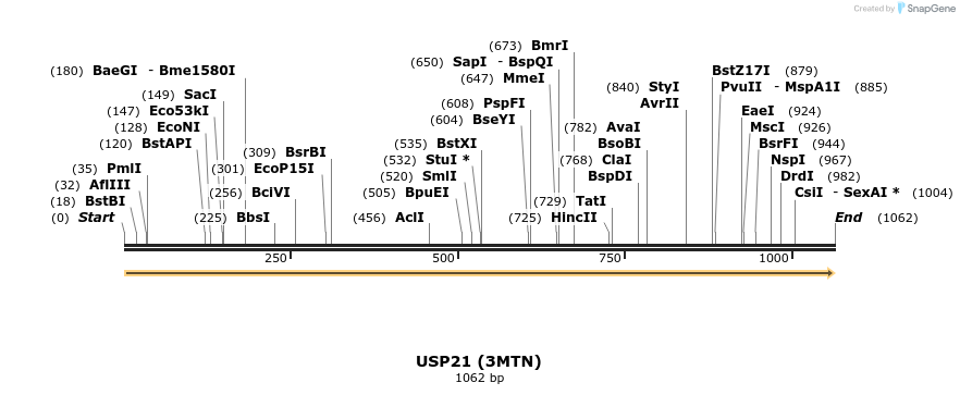 13312_map