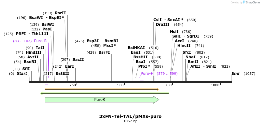 133122_map
