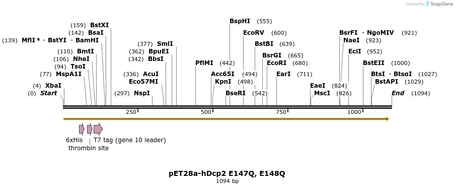 133126_map
