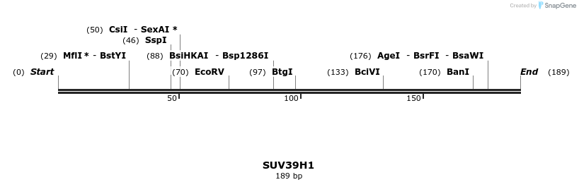 13313_map