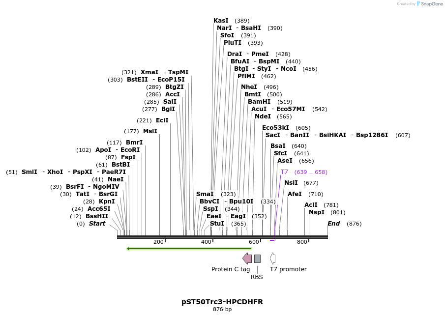 133139_map