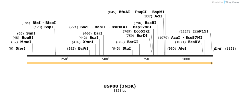 13315_map