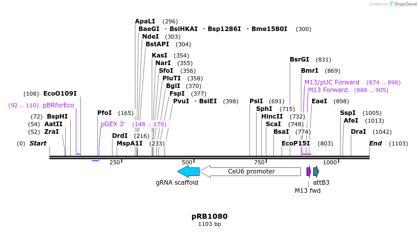 133150_map