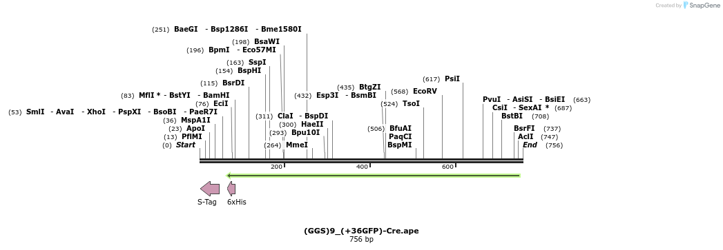 133157_map