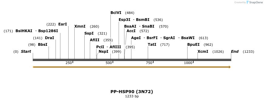 13316_map