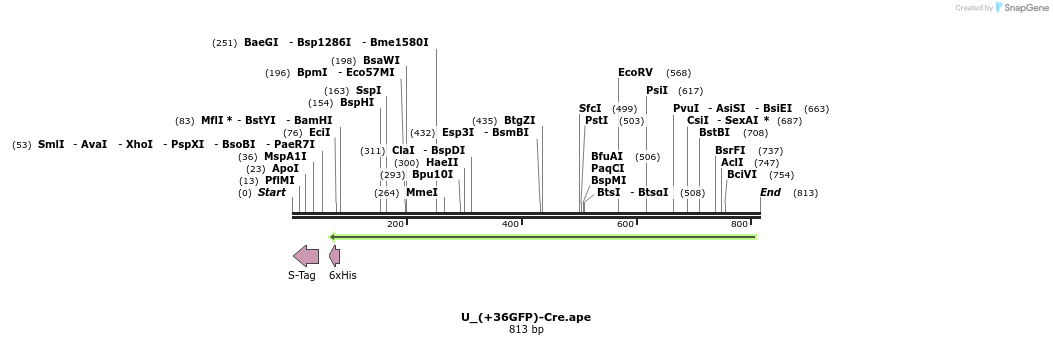 133161_map