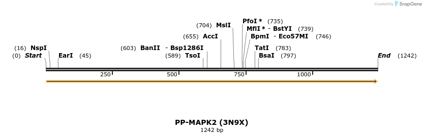 13317_map