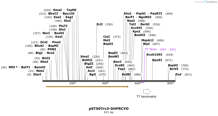 133171_map
