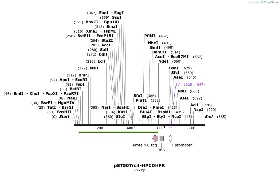 133173_map