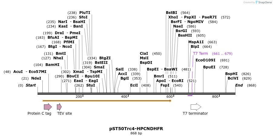 133175_map