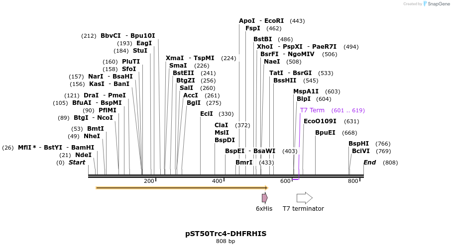 133176_map