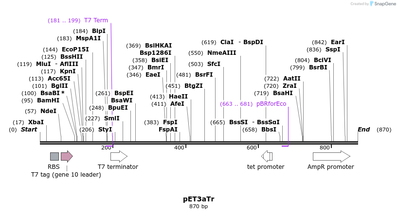 133177_map