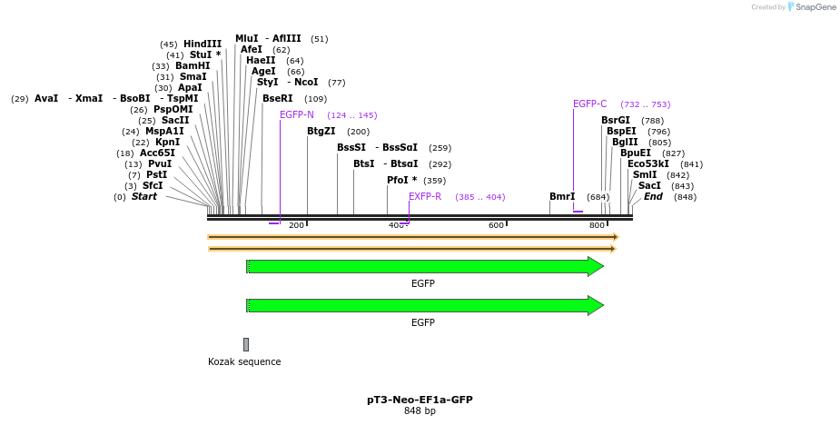 133186_map