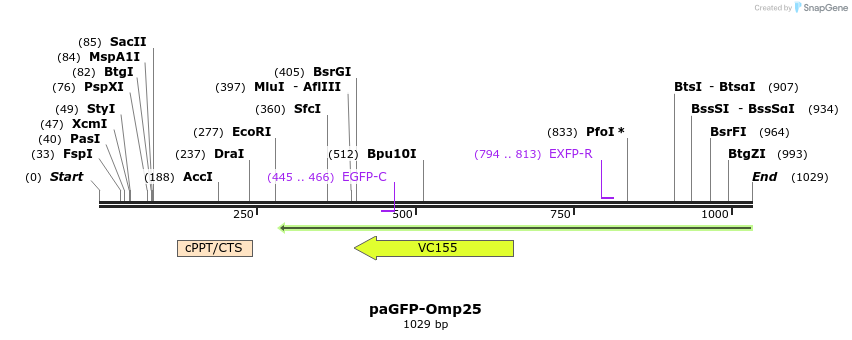 133197_map