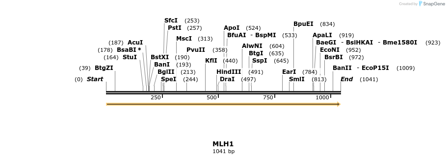 13320_map