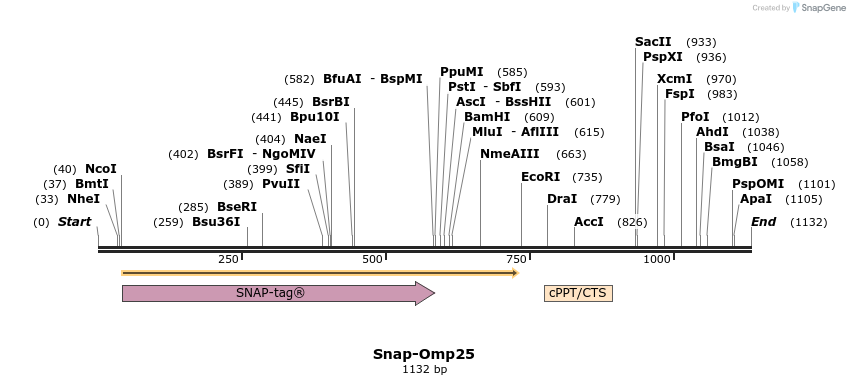 133201_map