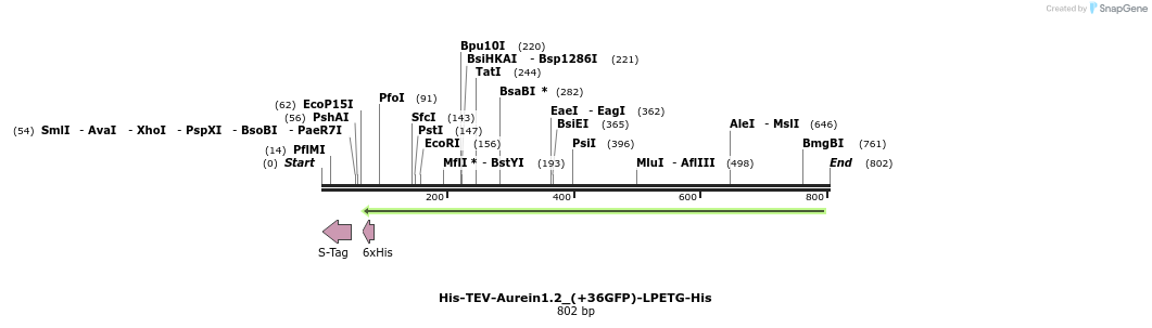 133203_map