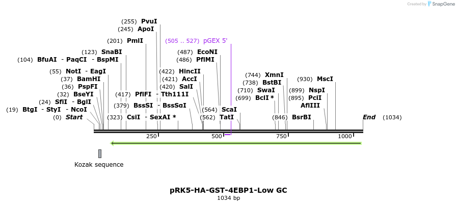 133205_map