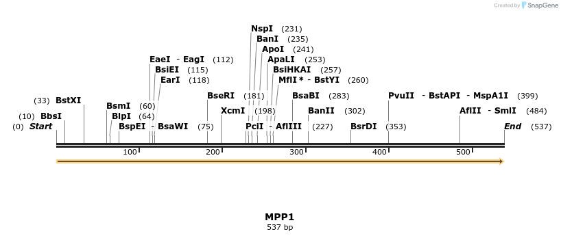 13321_map