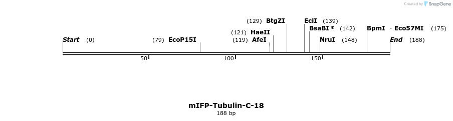 133217_map