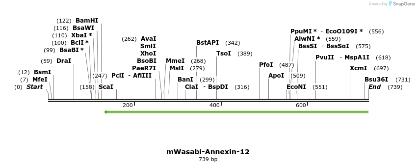 133218_map