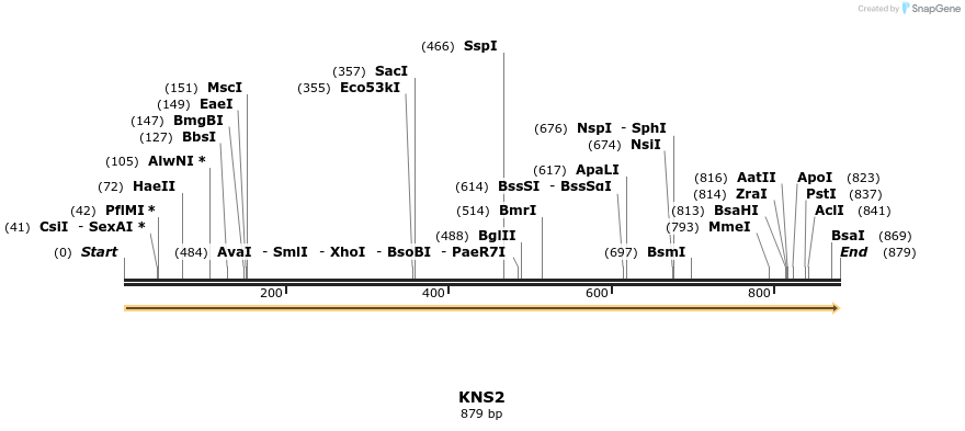 13322_map