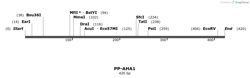 13323_map