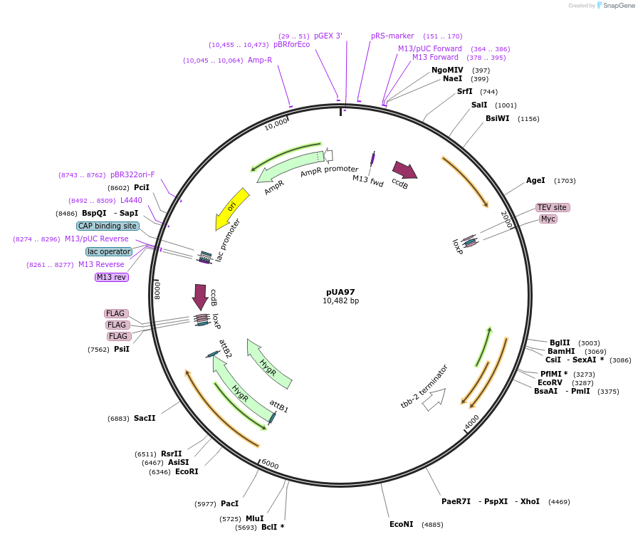 133241_map