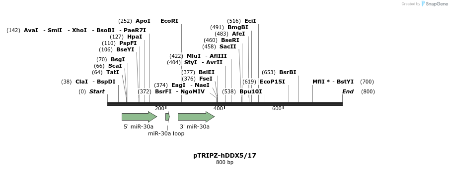 133248_map